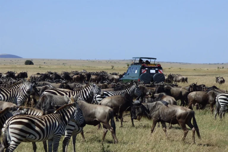 How-much-does-a-Masai-Mara-Saari-Cost
