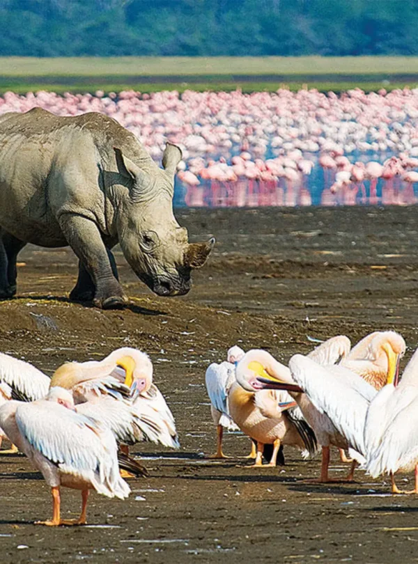 Lake-Nakuru-National-Park-topimage