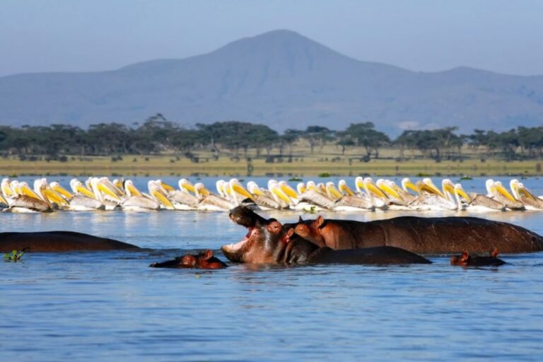 lake-naivasha-trip-kenya