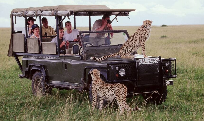 Why Wild Safari Hits Is Kenya’s Fastest-Growing Safari Company (And Why Travelers Love It)