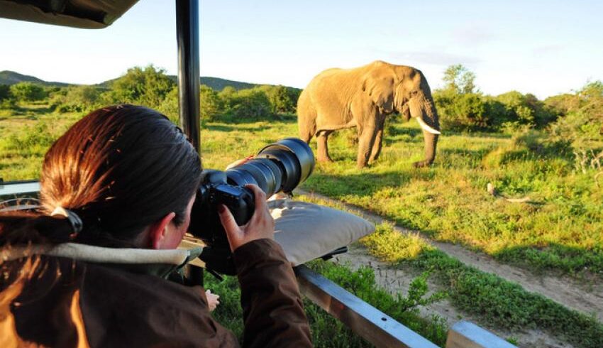 thumb_850_47_photographic-safari